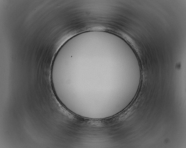 X0000090421194200708031059