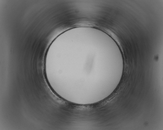 X0000090421195200708031059