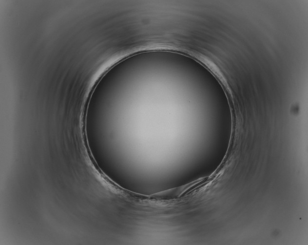 X0000090421197200708031059