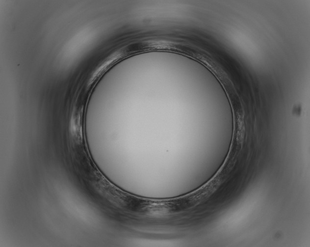 X0000090421198200708031059