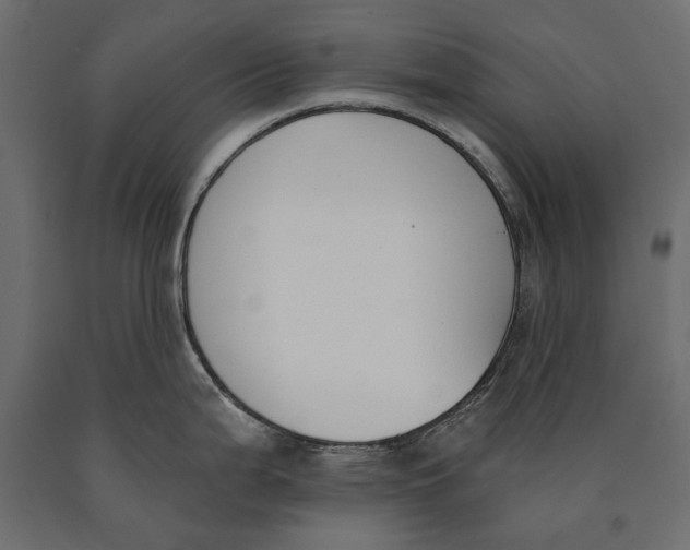 X0000090421199200708031059