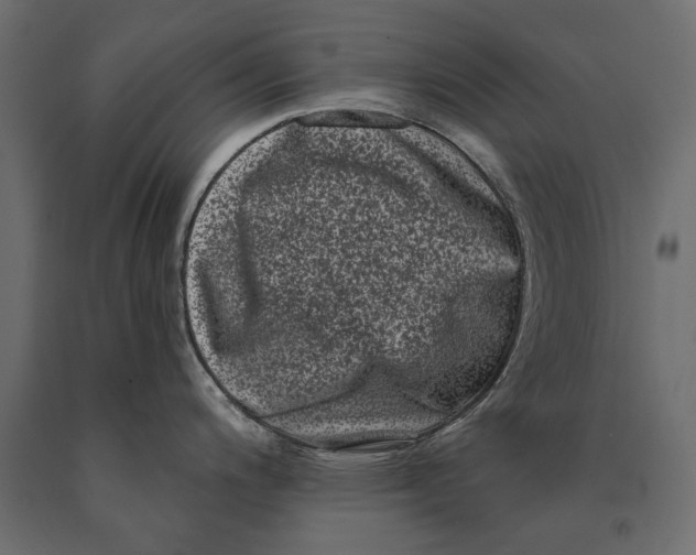 X0000090421200200708031059