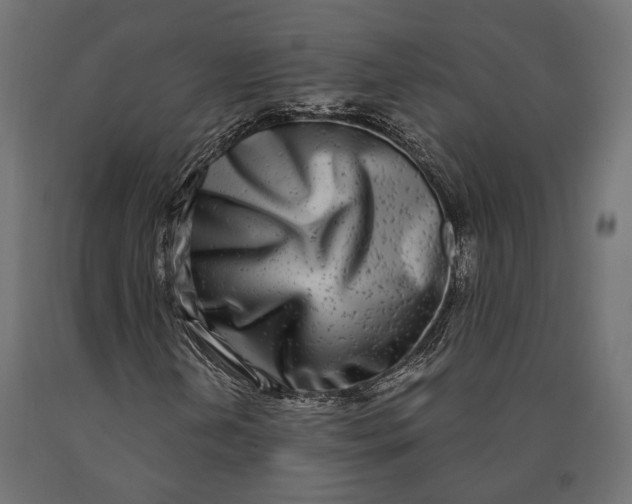 X0000090421202200708031058