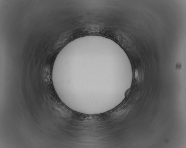 X0000090421203200708031058