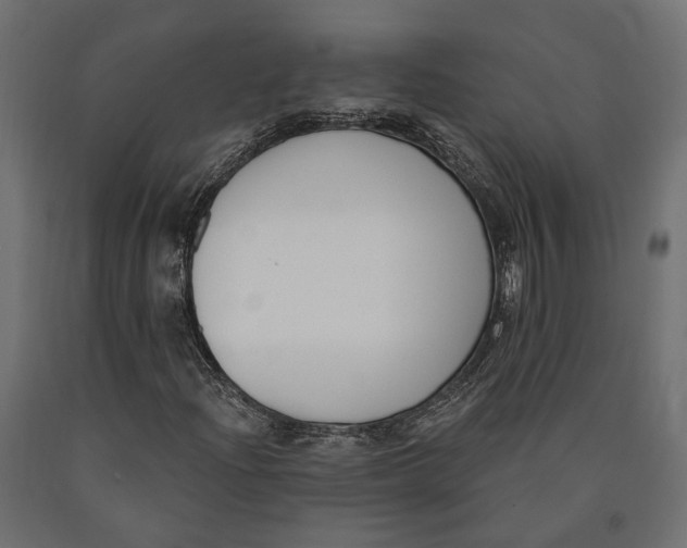 X0000090421204200708031058