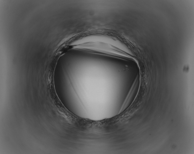 X0000090421206200708031058