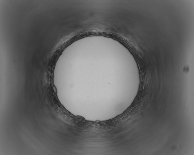 X0000090421207200708031058