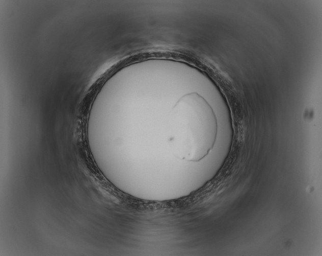 X0000090421208200708031058