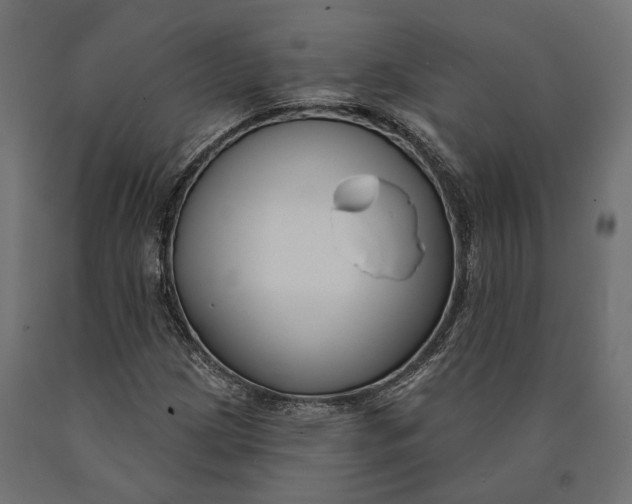 X0000090421209200708031058