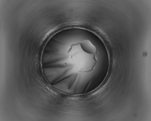 X0000090421210200708031058