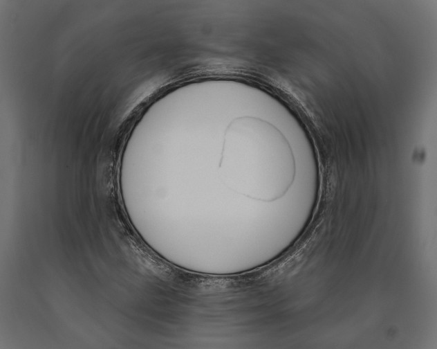 X0000090421211200708031058