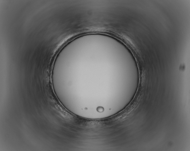 X0000090421212200708031058