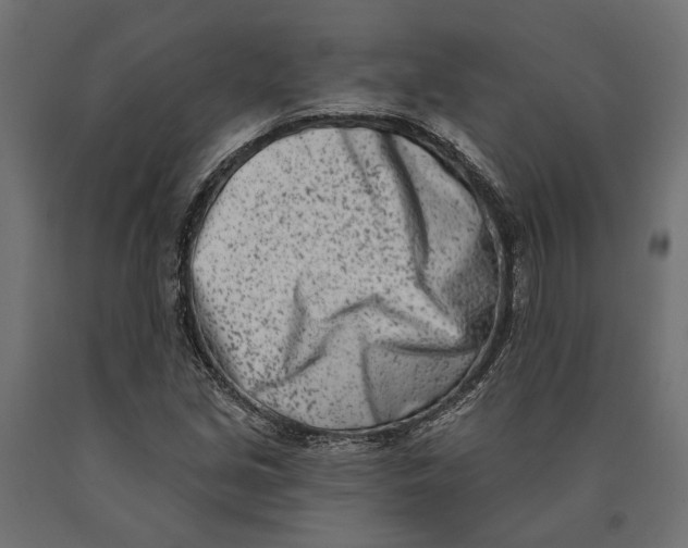 X0000090421213200708031058