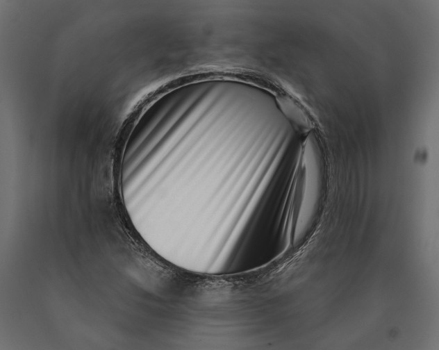 X0000090421214200708031058