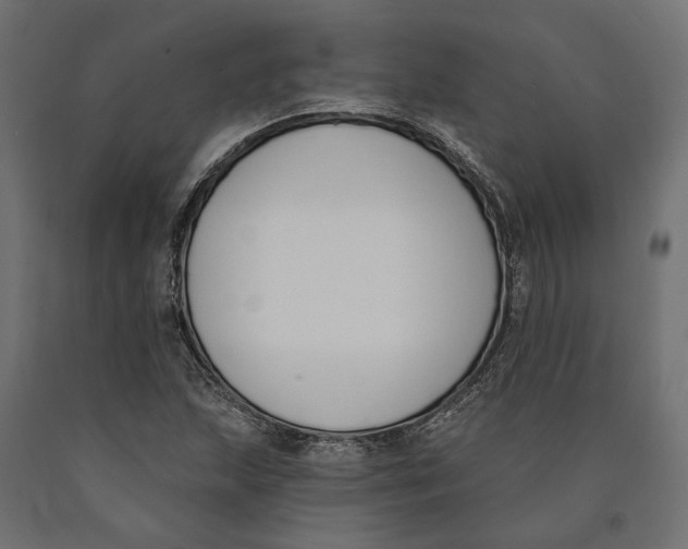 X0000090421215200708031058