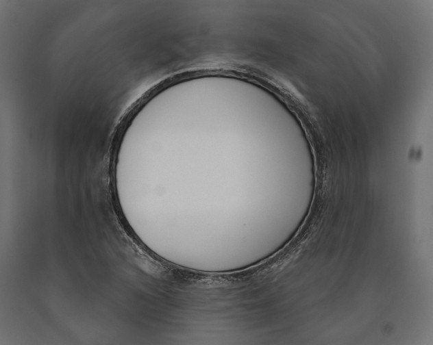 X0000090421216200708031058