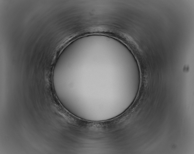 X0000090421217200708031058