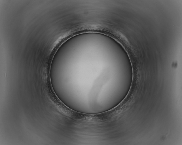 X0000090421218200708031058