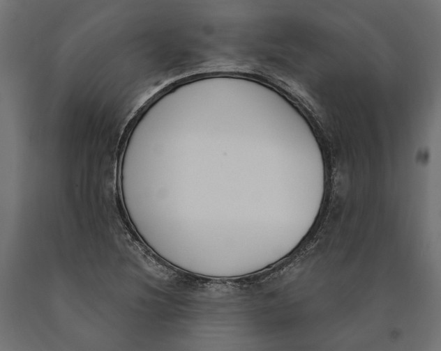 X0000090421220200708031058