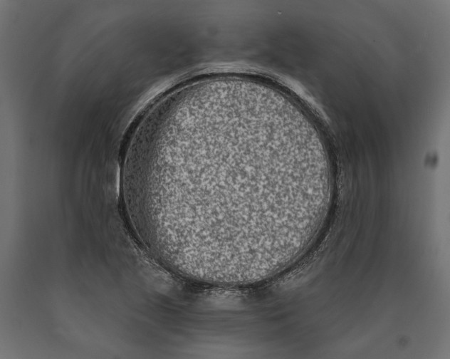 X0000090421221200708031058