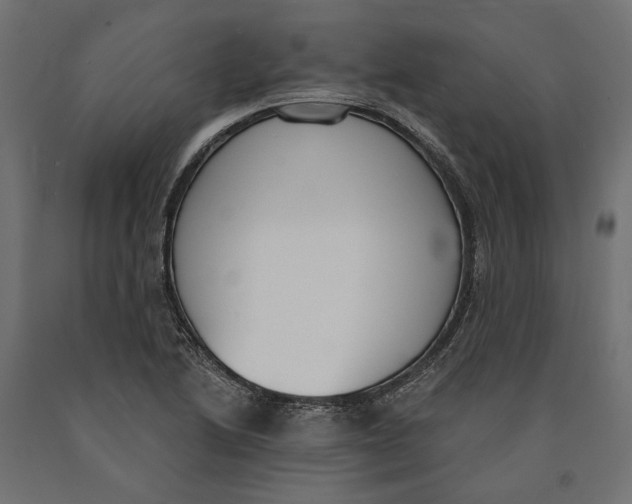 X0000090421222200708031058