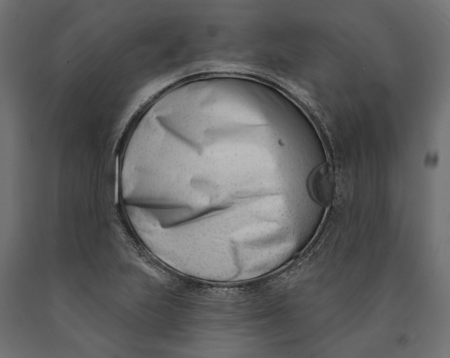 X0000090421223200708031058