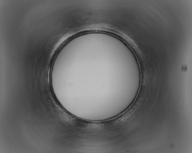 X0000090421224200708031058