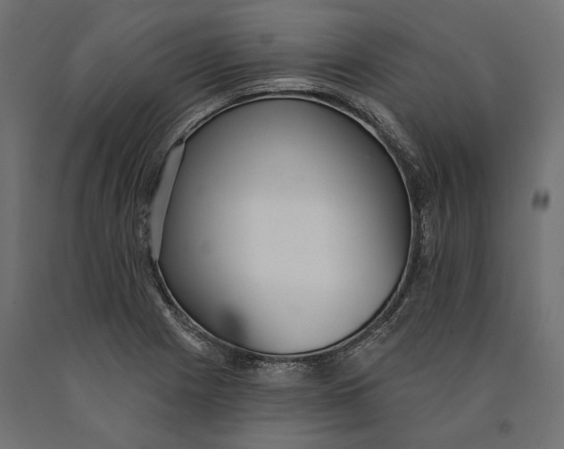 X0000090421225200708031058