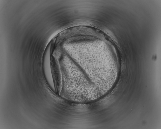 X0000090421226200708031058