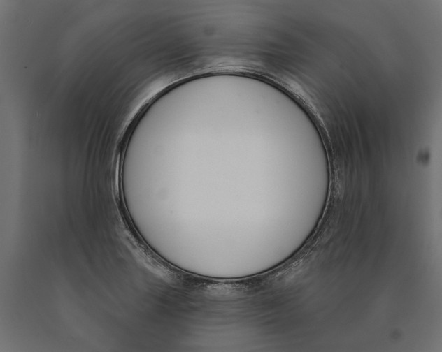 X0000090421227200708031058