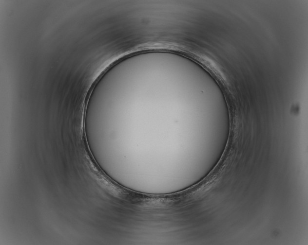 X0000090421228200708031058