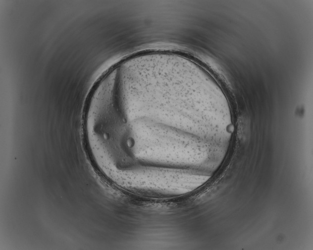 X0000090421229200708031058