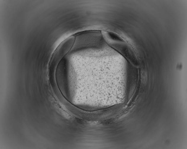 X0000090421230200708031058