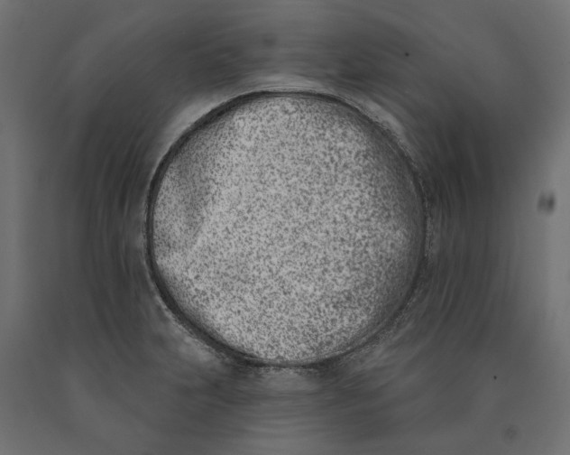 X0000090421231200708031058