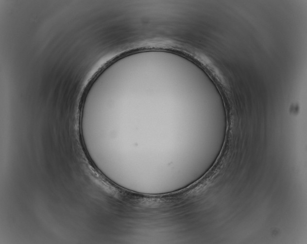 X0000090421232200708031058