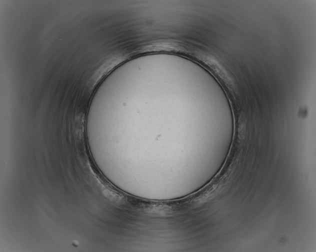 X0000090421233200708031058