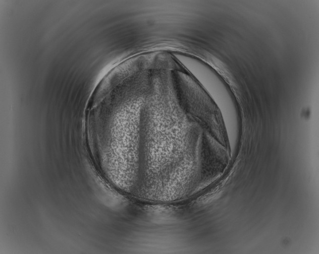 X0000090421234200708031058