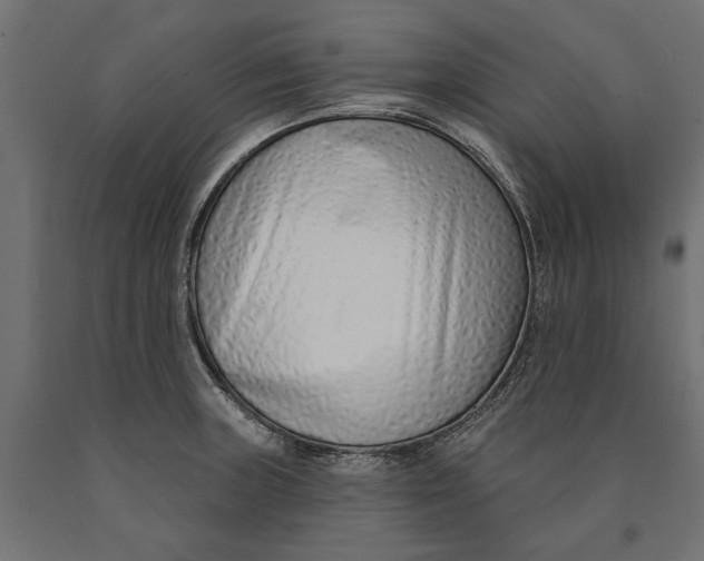 X0000090421235200708031058