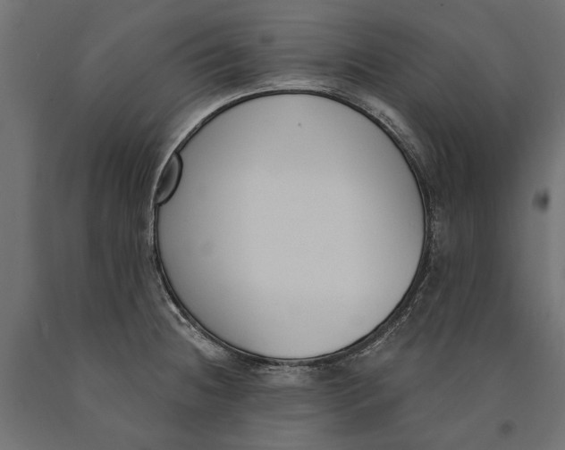 X0000090421236200708031058