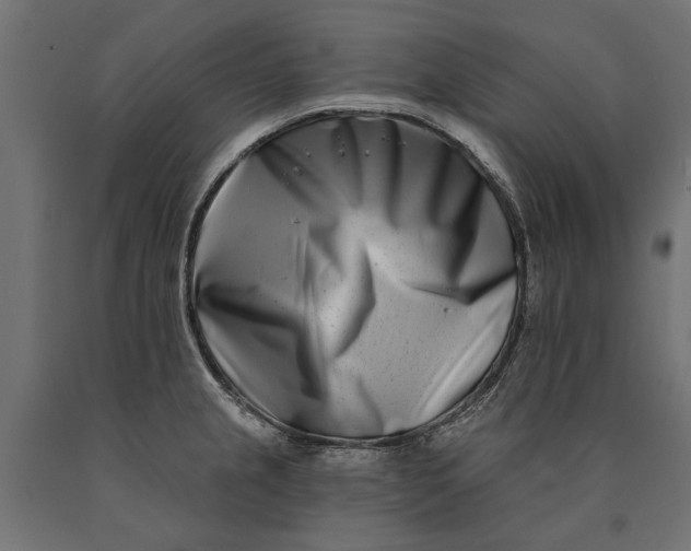 X0000090421237200708031058