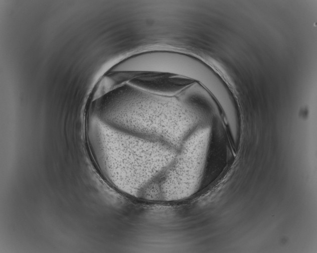 X0000090421238200708031058