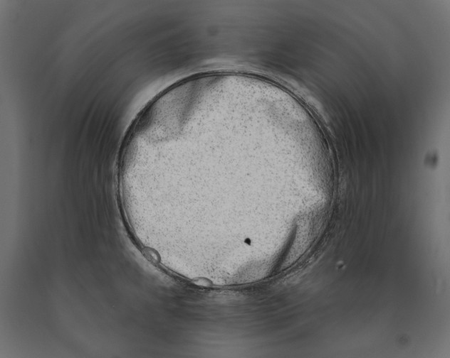 X0000090421239200708031059