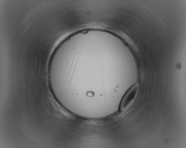 X0000090421240200708031059