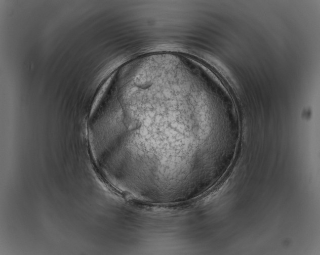 X0000090421241200708031059