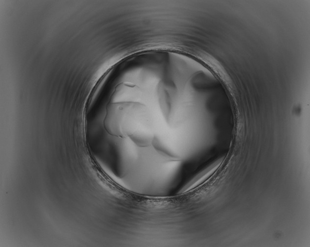 X0000090421242200708031059