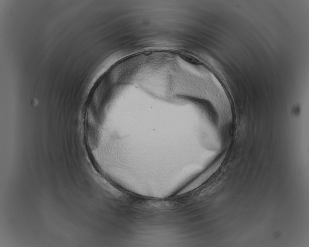 X0000090421243200708031059