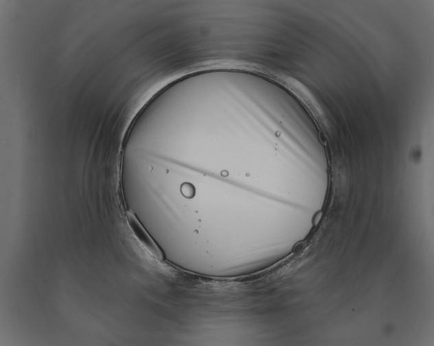 X0000090421244200708031059