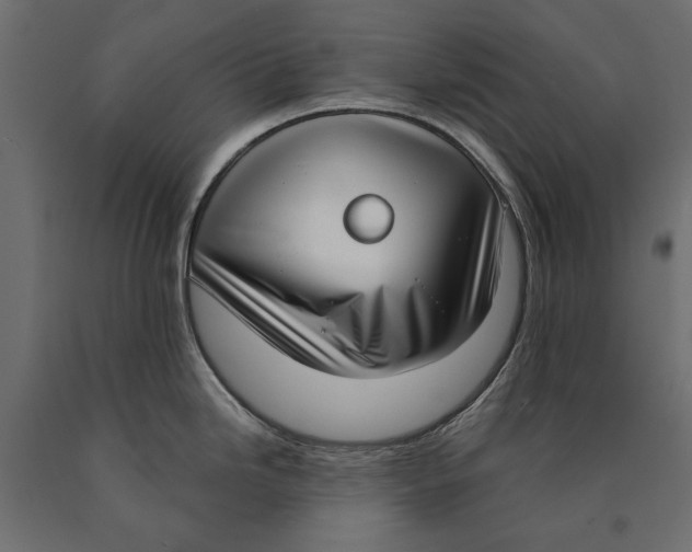 X0000090421246200708031059