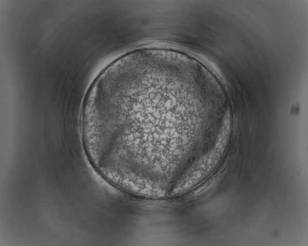 X0000090421247200708031059