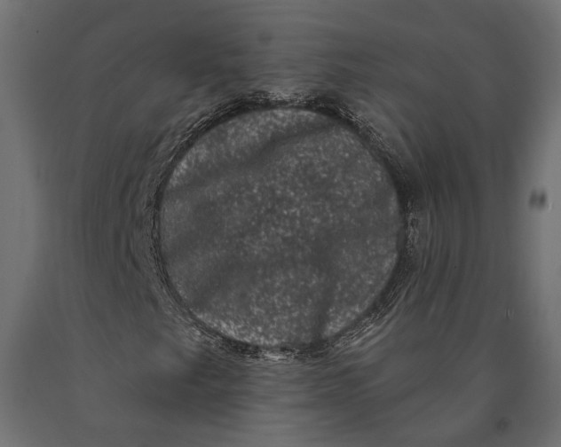 X0000090421249200708031058